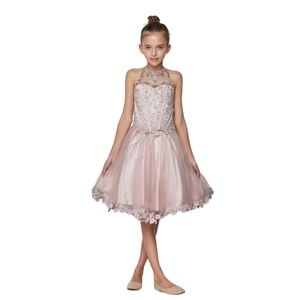 Dusty Rose Beaded Sequin Short Dress